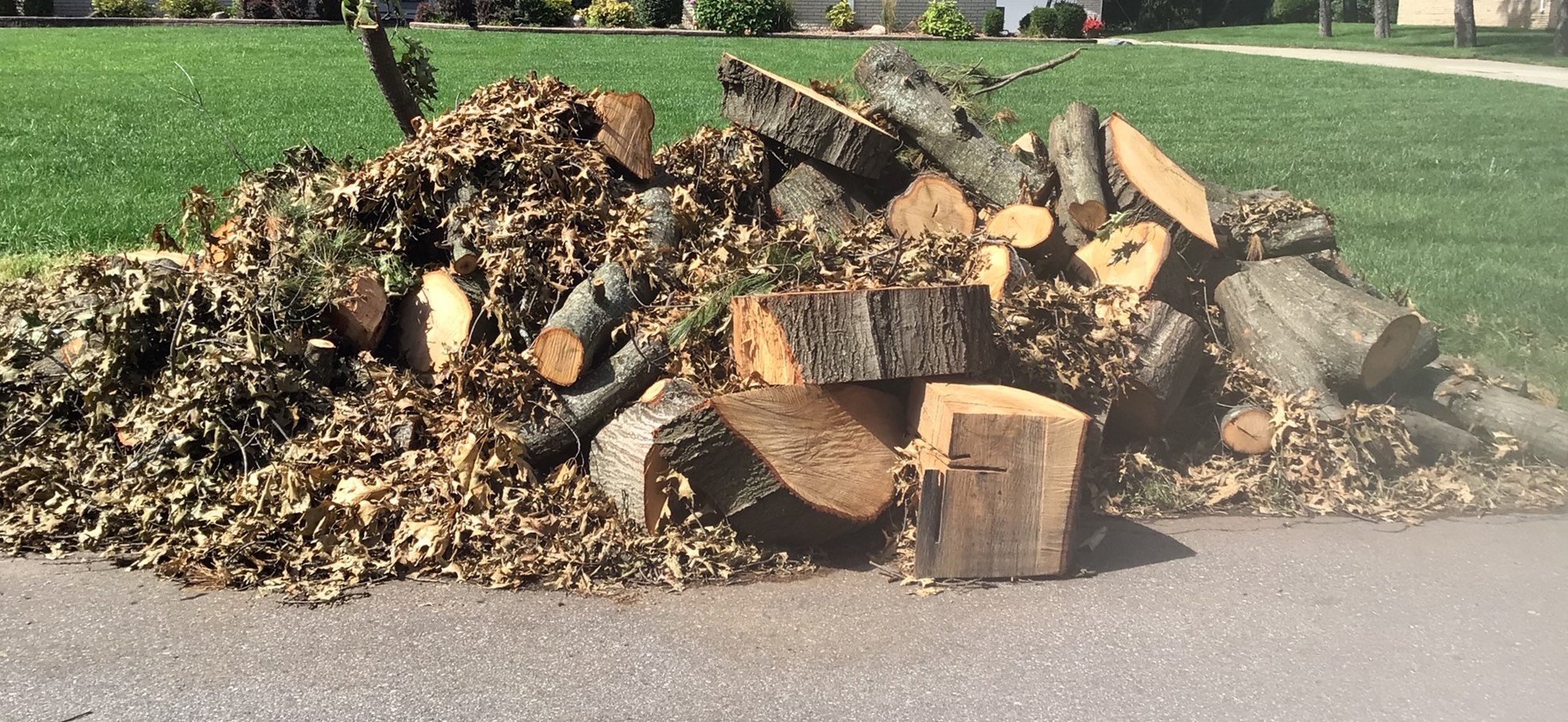 Yard waste collection begins (through December 13) City of Southfield